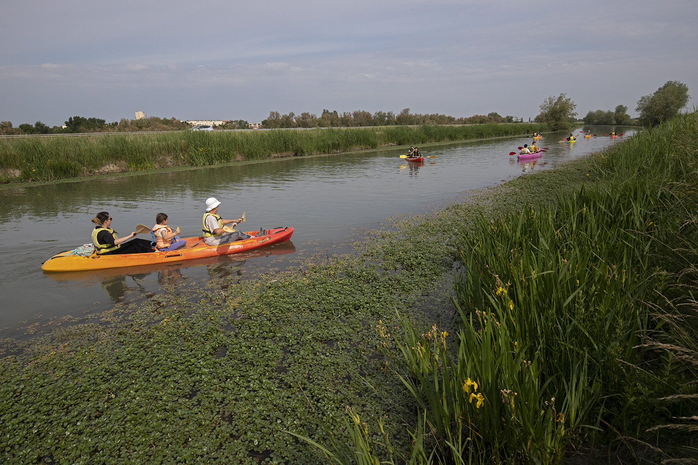FDLN_Pays Arles biodiversite 13_MG_7597