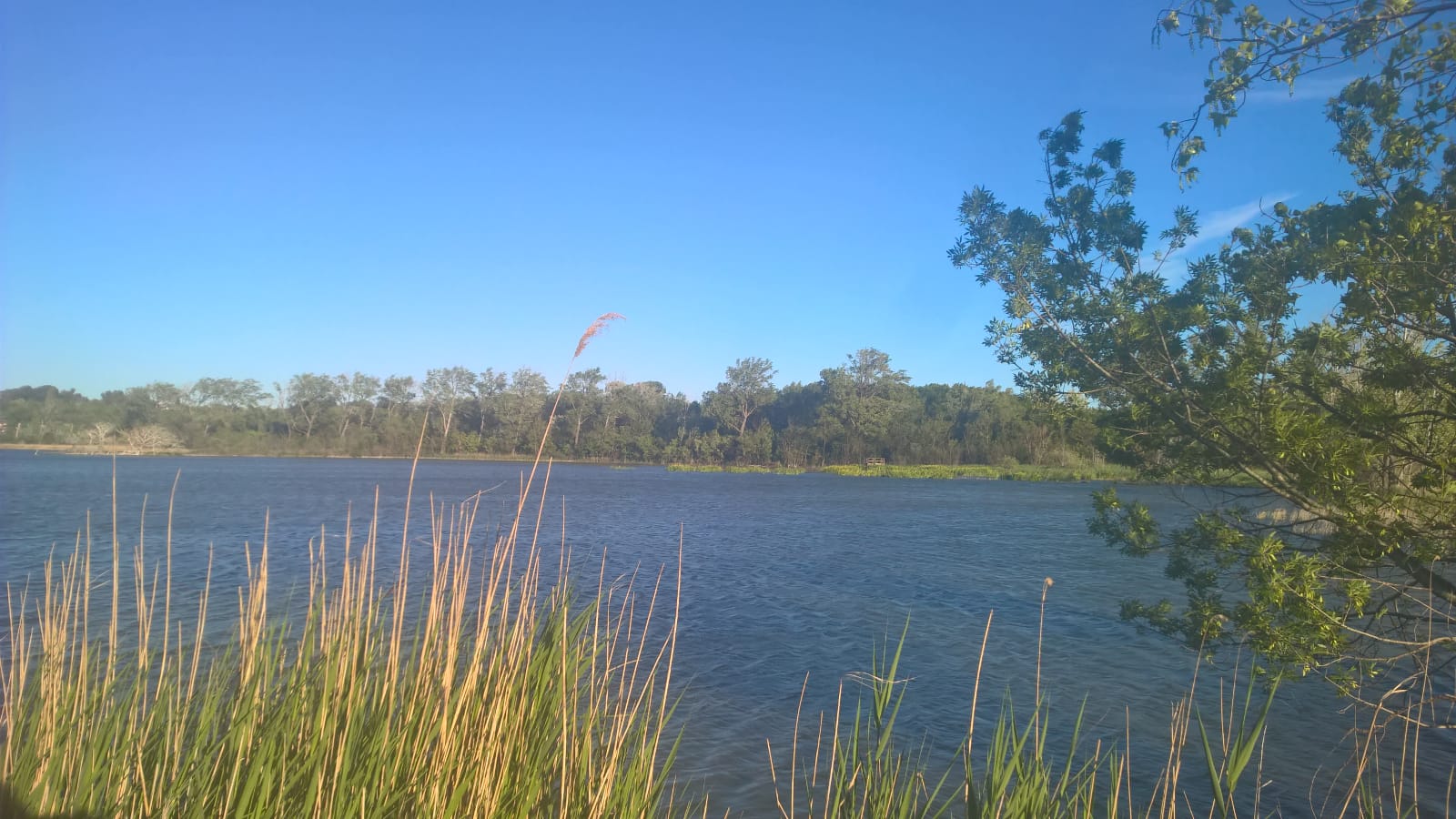 IMG-20190704-WA0010