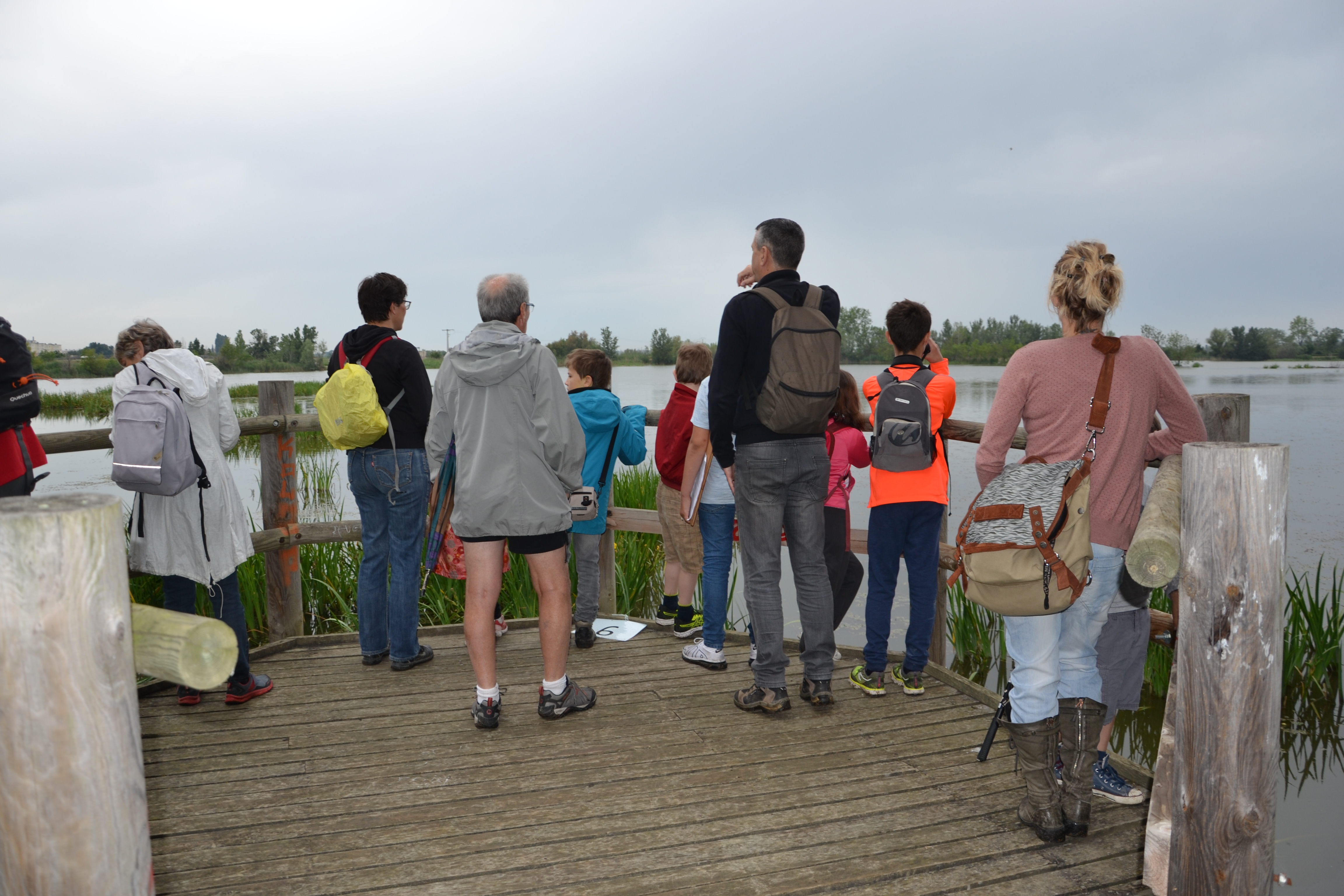 marais de Beauchamp 26 mai 2018 (10)