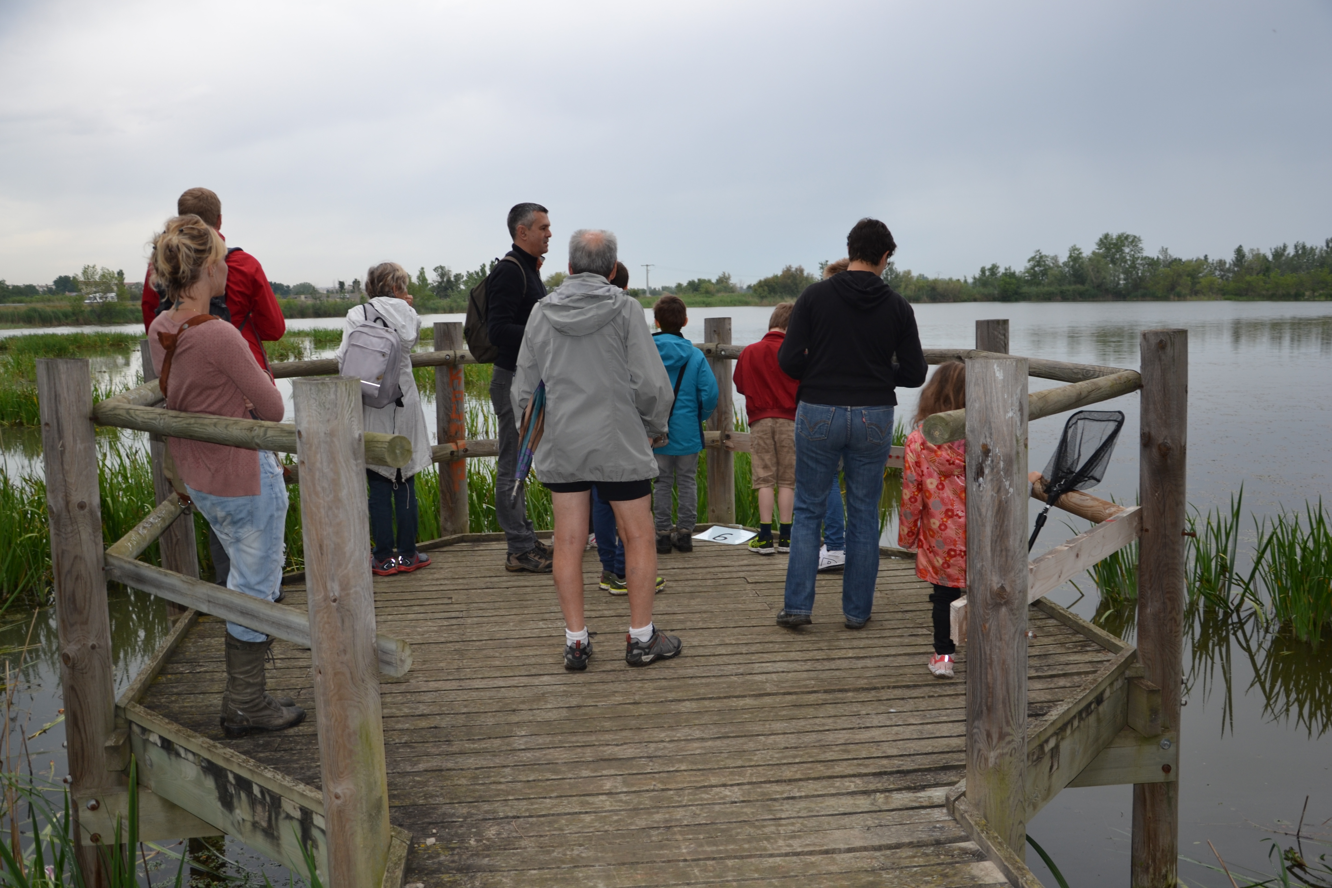 marais de Beauchamp 26 mai 2018 (13)