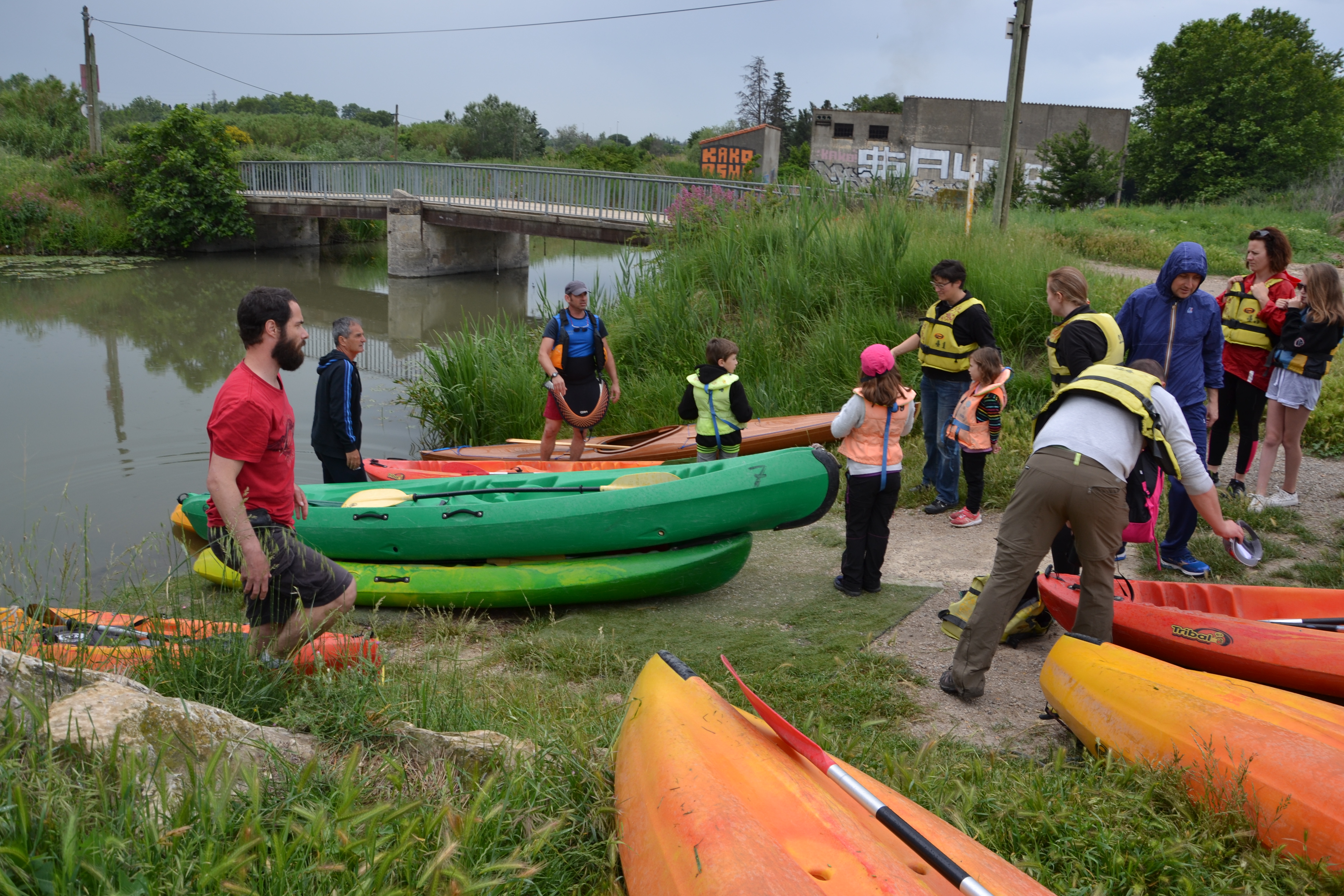 marais de Beauchamp 26 mai 2018 (29)