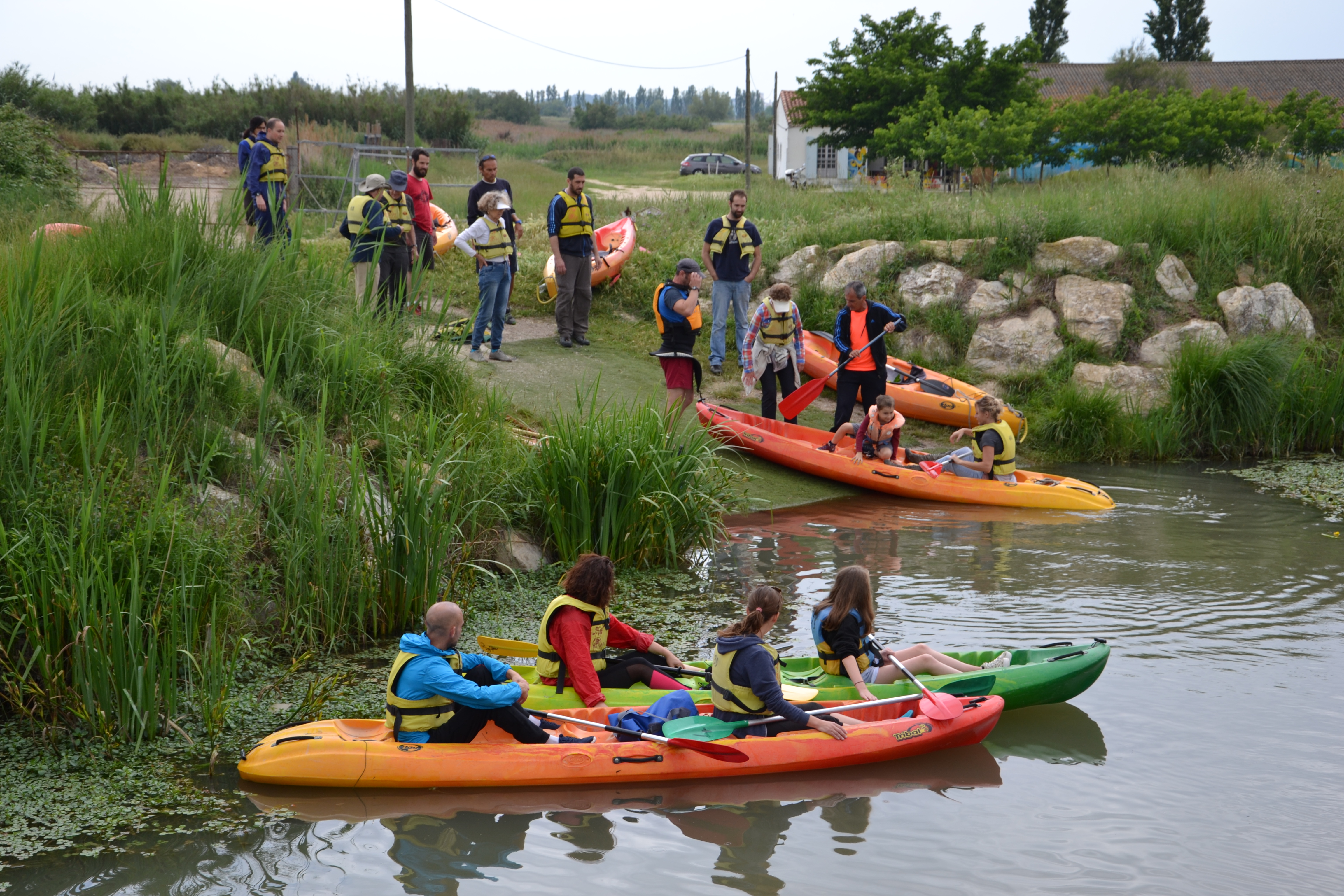 marais de Beauchamp 26 mai 2018 (33)