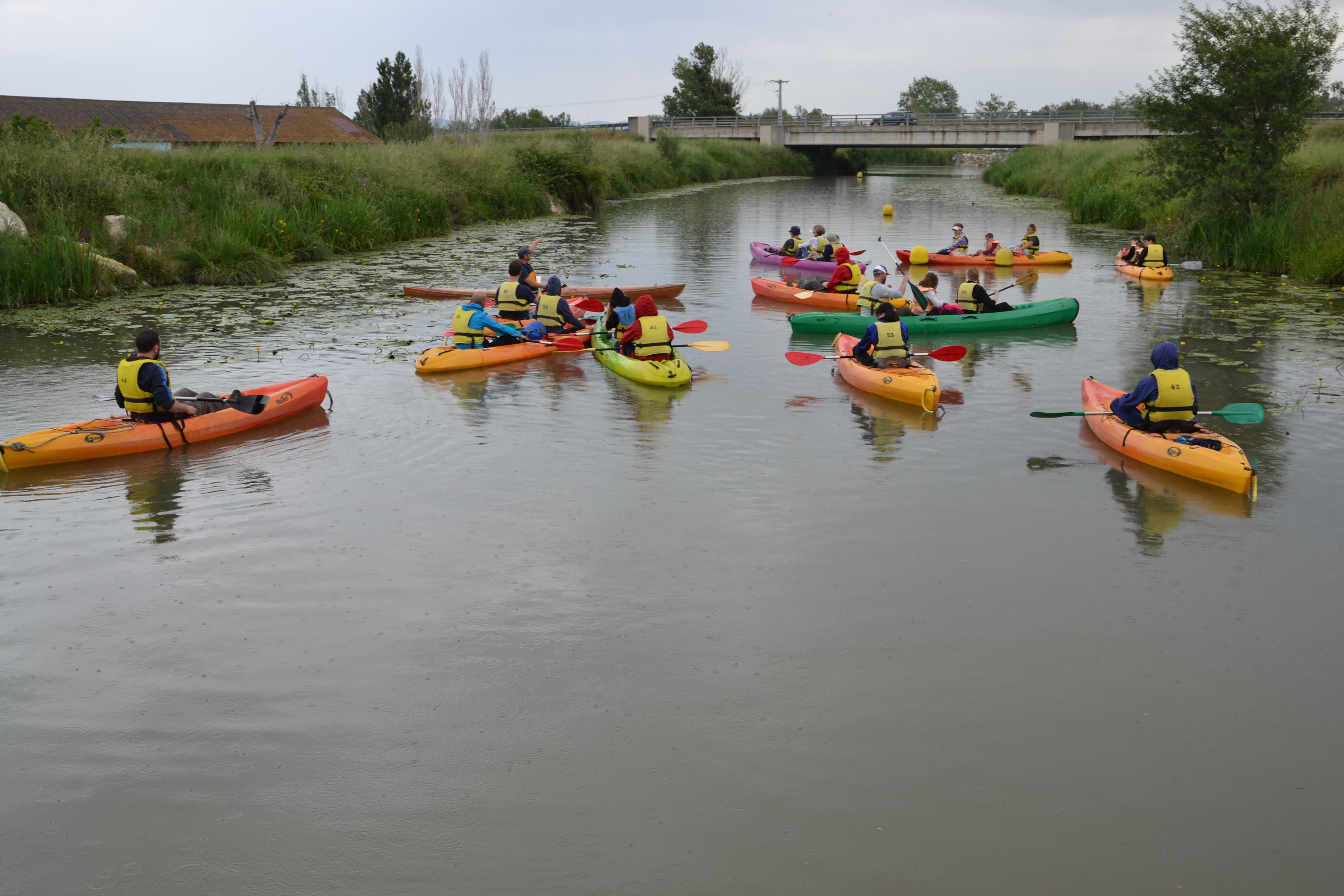 marais de Beauchamp 26 mai 2018 (38)
