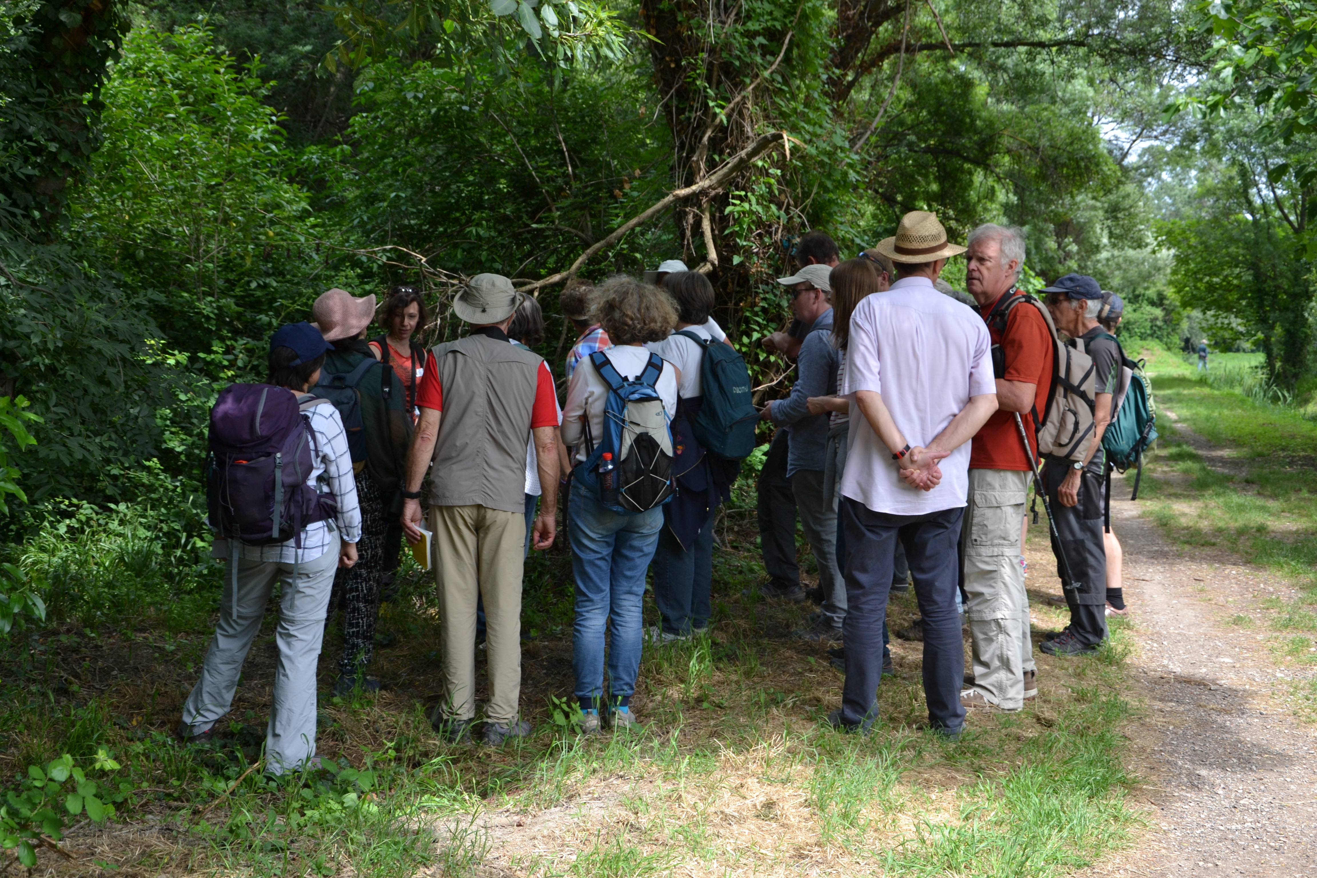 marais de Beauchamp 26 mai 2018 (81)