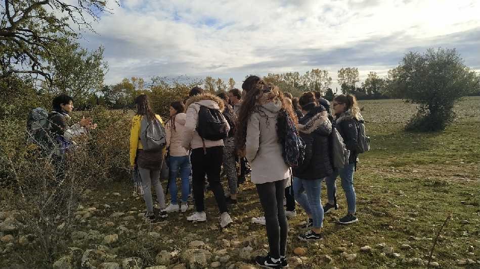 lycée_biodiversité_crau