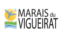 mdv