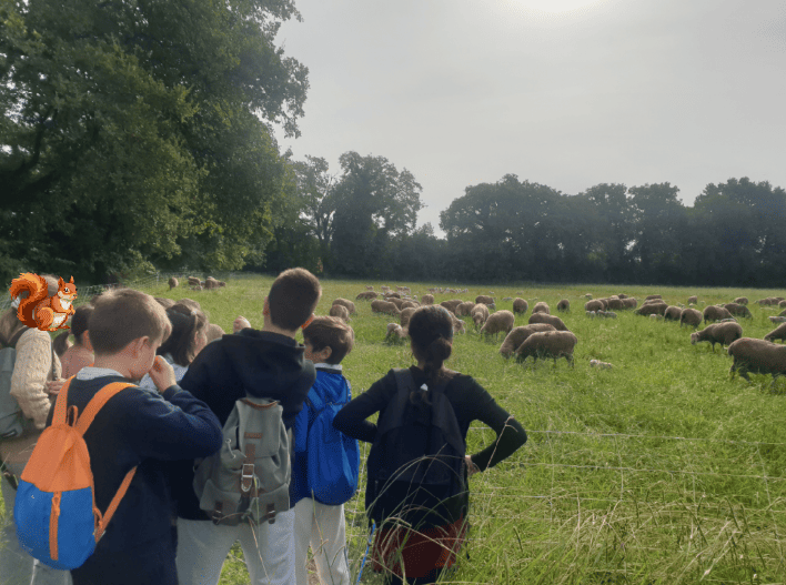 2025_pgm eedd_crau_paysage_2b