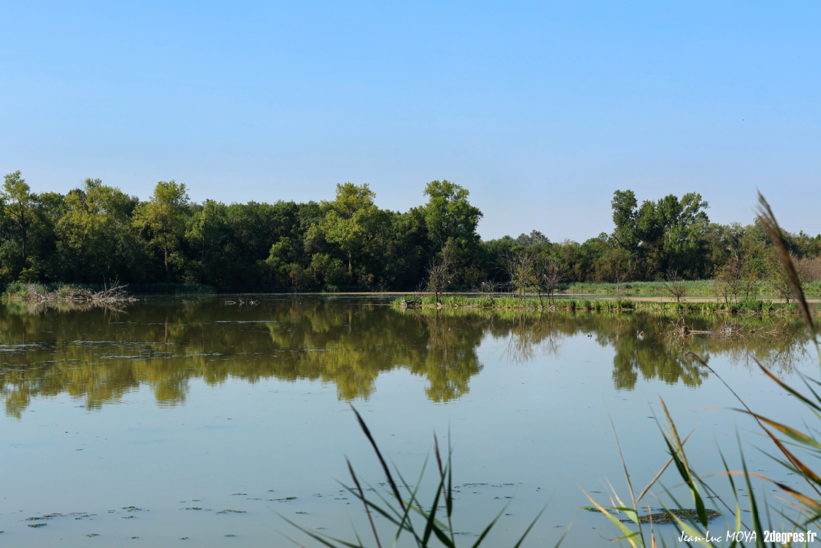 Valorisation des zones humides de la ville d'Arles