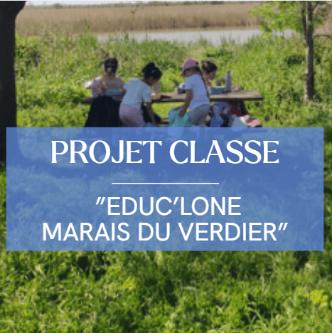 vignette_pc marais verdier